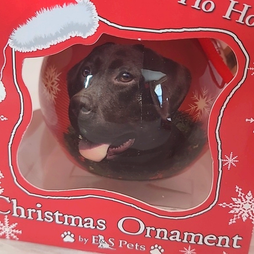 🆕️ Kirkland's Christmas Ornament Labrador Retreiver Lab Dog Pair of  Ornaments - Picture 4 of 15
